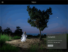 Tablet Screenshot of ivalulic.com
